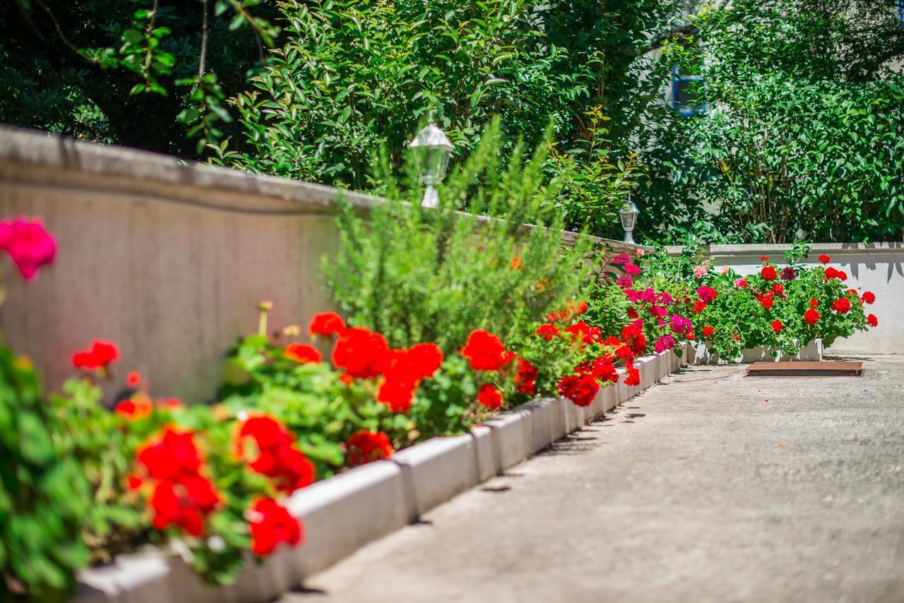 Villa Rose Rovinj Kültér fotó